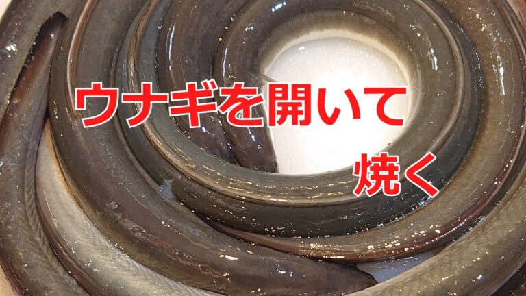 ウナギをさばいてかば焼きにする（ウナギの原価と販売価格）