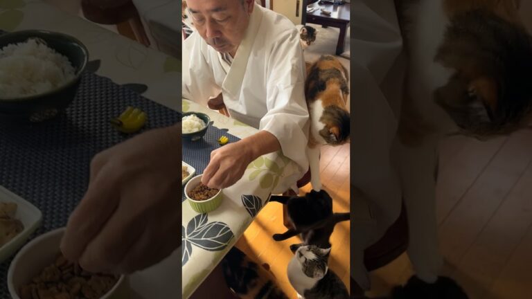 住職の朝ごはん。サバの味噌煮 小松菜と舞茸の炒め物 ごはんと味噌汁 みかん