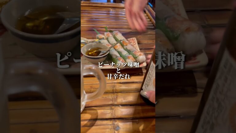 大阪心斎橋【どうしても生春巻きが食べたい！】