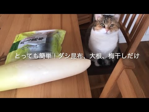 便秘、宿便に！大根＆梅干しで体の中を大掃除　大根デトックススープ！/ Making detox soup help regulate your bowel movements