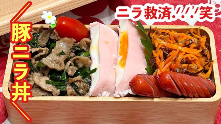 【お弁当】ニラを救え.ᐟ.ᐟ.ᐟ笑どどんとのっけ弁当🍱豚ニラ丼