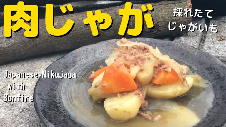 【ホックホクがホックホク 簡単レシピ】 肉じゃがをつくろう 自家製じゃがいもの底力