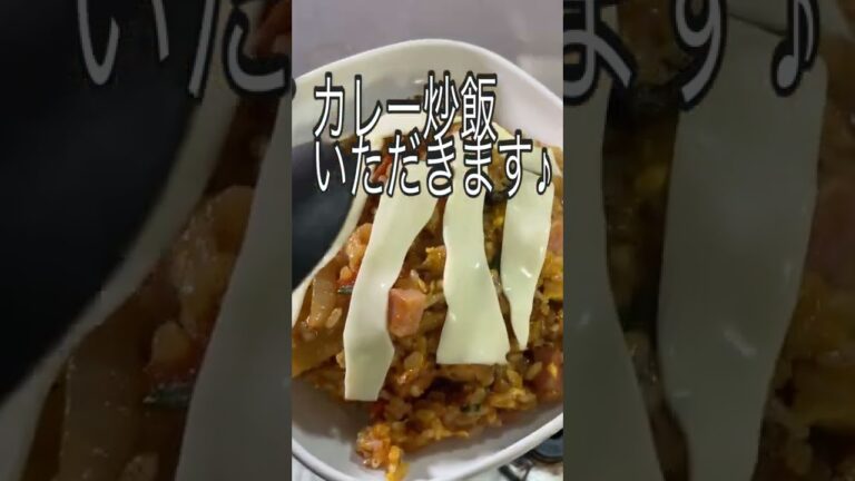 残り物カレー炒飯《100日目に最高のチャーハンを見つけるアル中 34日目》#shorts #アル中カラカラ
