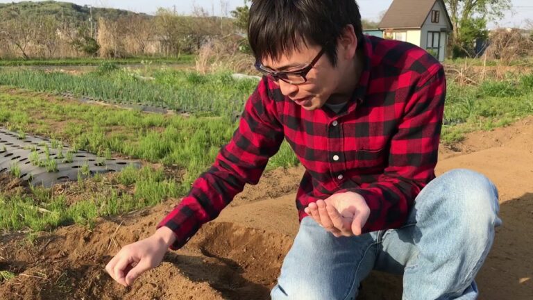 人気急上昇中のわさび菜を栽培