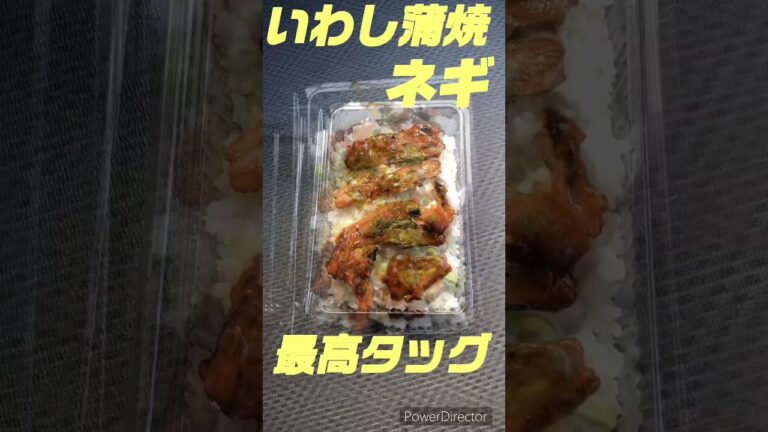 【絶対節約生活】いわし蒲焼缶詰ネギ美味しかった！＃shorts#節約#節約レシピ