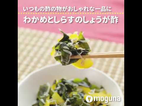 いつもの酢の物がおしゃれな一品に　わかめとしらすのしょうが酢 ｜ moguna[モグナ]