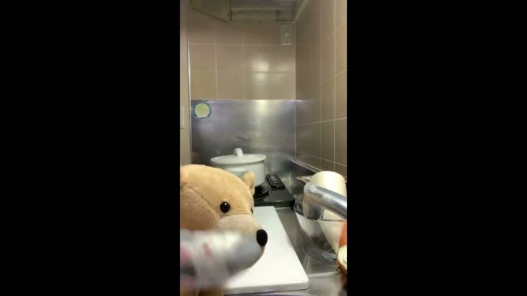 夜の霜降りひらたけのお味噌汁を作るだけライブ