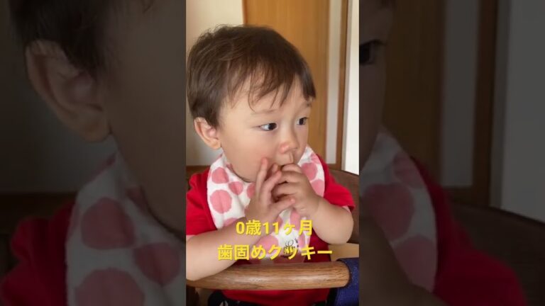 0歳11ヶ月｜歯固めクッキー｜赤ちゃんのおやつ