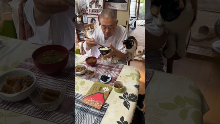 住職の朝ごはん。たけのこの煮物(お惣菜2割引ゲット①)ふきの煮物(お惣菜②)昆布の佃煮 ごはんと味噌汁