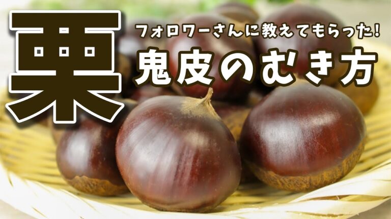 フォロワーさんに聞いた！栗の鬼皮を簡単にむく方法【いいね思ったら、コメント「👍」で教えてね😆】#Shorts