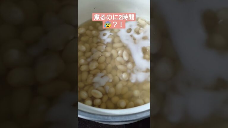 【主婦の日常】煮豆初挑戦😶乾燥豆やばすぎ…😣