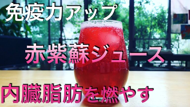 【手作り赤紫蘇ジュース】毎日元気！内臓脂肪、免疫力アップ、老化防止に最適！