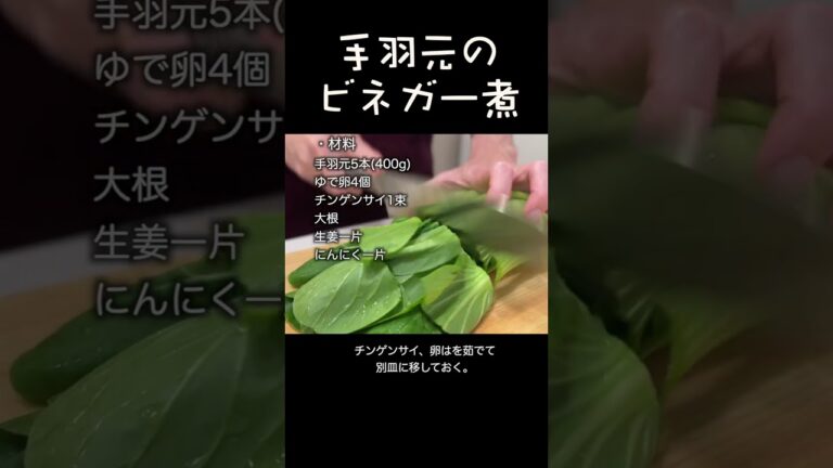 手羽元の赤ワインビネガー煮込み #shorts