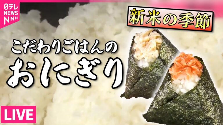 【ごはんにこだわっているグルメまとめ】豚角煮入りカレー味＆揚げるみそ味とは！？東京おにぎり人気店 / 180グラムのまん丸おにぎり/ご飯にもおいしい！ご当地味トンテキ　など（日テレNEWS LIVE）