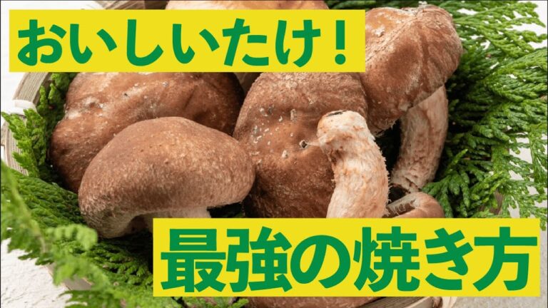 椎茸職人直伝！この焼き方が最強 #おいしいたけ