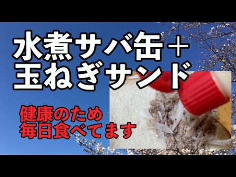 【サバ缶＋生玉ねぎサンド】研究vol.1まずはマヨネーズを試してみた！