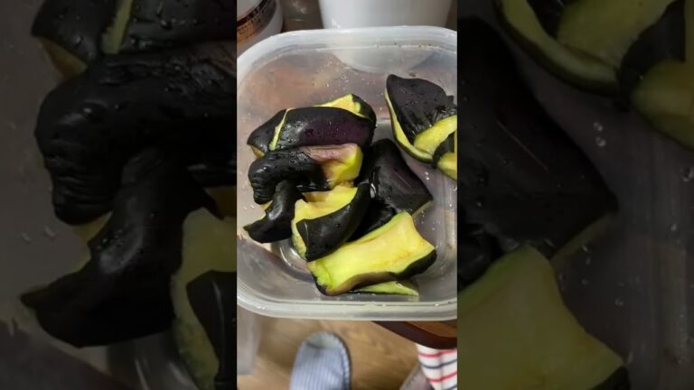 初めての茄子の浅漬け＿|￣|○