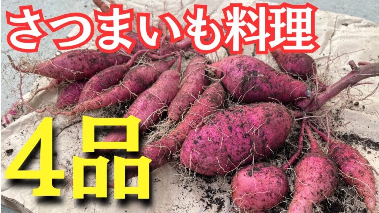 【さつまいもレシピ】芋掘りしたのでさつまいも尽くしにした日