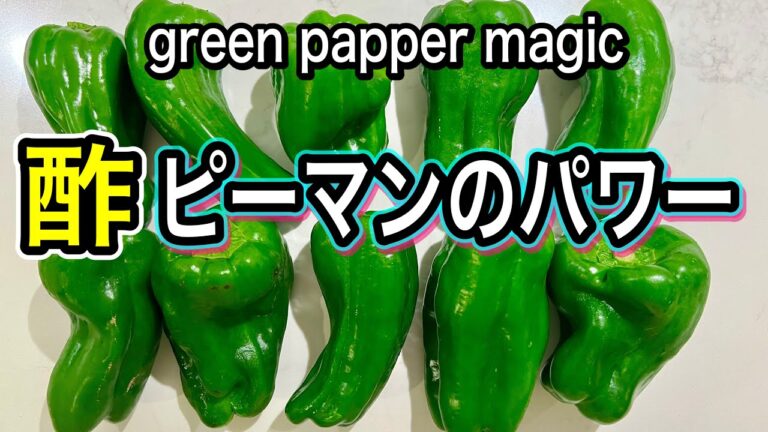 【内臓脂肪を燃やす！】ピーマンの種もワタも丸ごと！お酢で効果倍増！知られざる成分と効果的な調理法