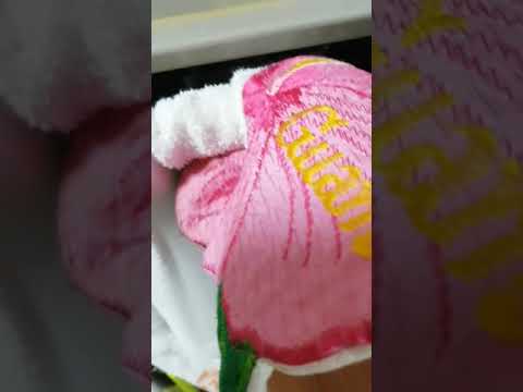 カボチャのスープをつくろうとおもう🎃🎃🎃【パンプキンスープ】