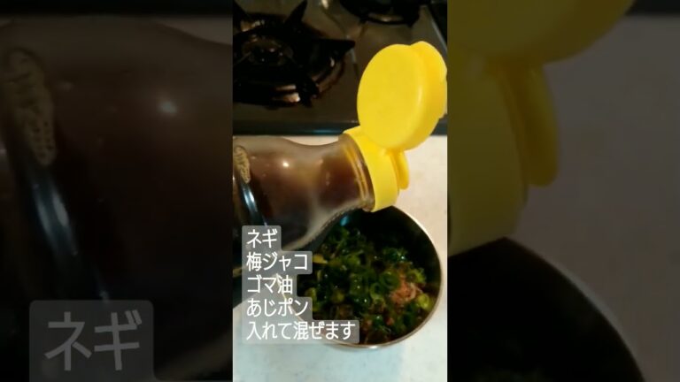 おにぎらず #おにぎらず #おにぎり #ねぎ #ネギじゃこ