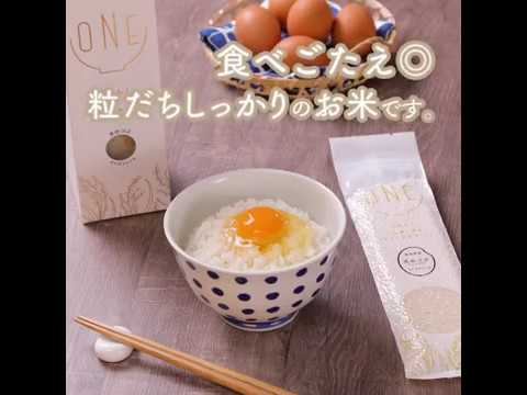 鮭ときゅうりの【ごちそうおにぎり】