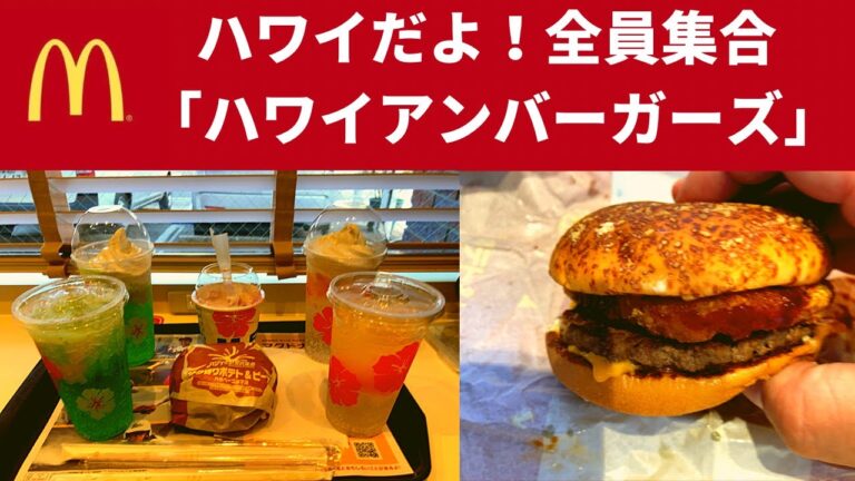 マクドナルド ザク切りポテト&ビーフ ハラペーニョマヨ・マックフルーリー ミックスベリーパンケーキ風・マックフィズ マックフロート トロピカルフルーツ/グリーンハワイ