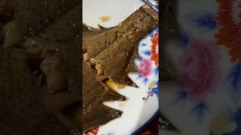 世界よ！これが日本の美味しい食べ物飲み物 カレイの煮物　225