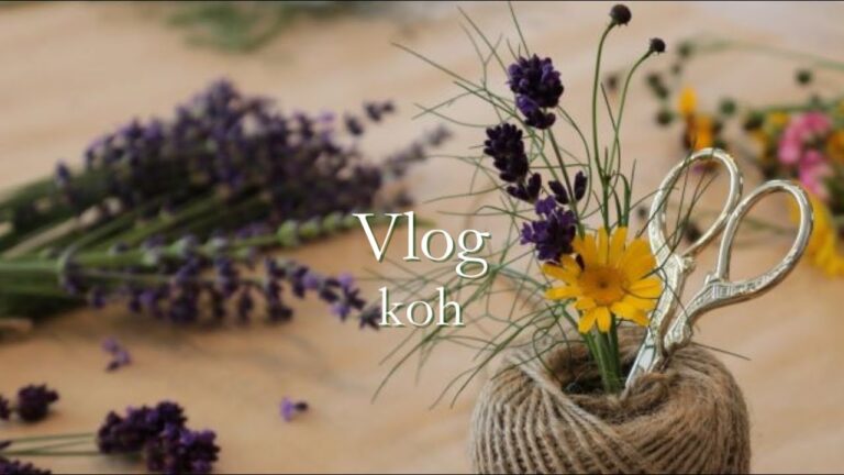 【Vlog  夏の始まりを楽しもう】ドライフラワー/紫蘇ジュース