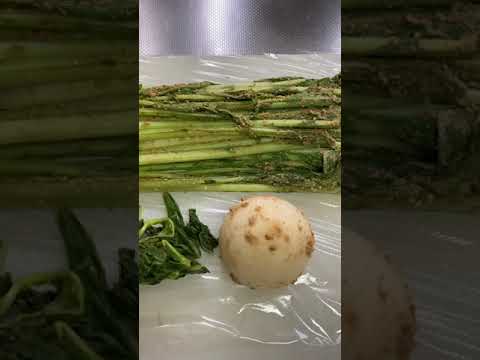 カブの葉っぱの糠漬け 美味いよね!! #shorts