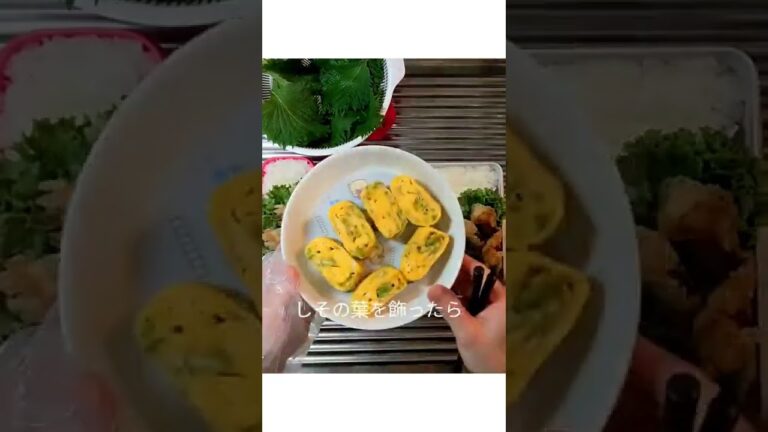 お弁当を詰める！とりささみの海苔巻き天編🌊