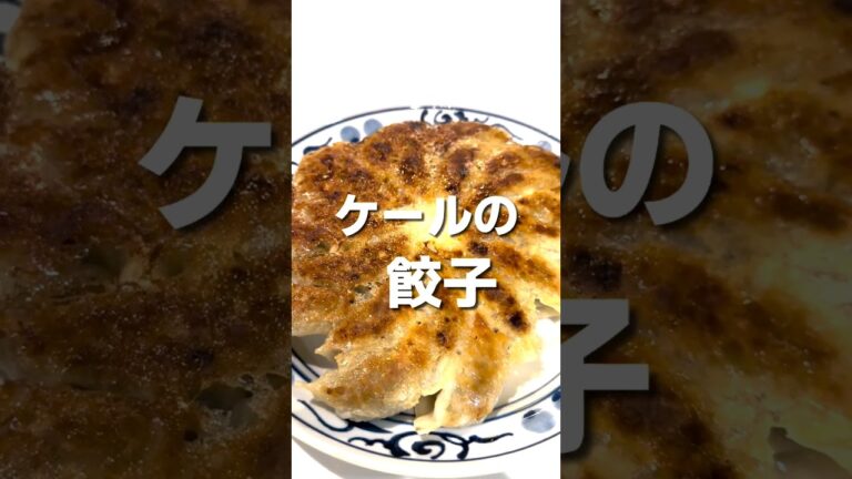 栄養満点ケール餃子！！