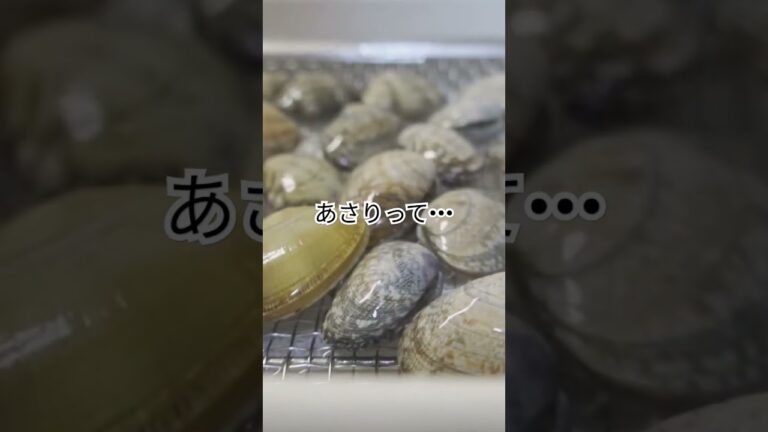 あさりの味噌汁だよ #レシピ #料理 #料理動画 #簡単レシピ #味噌汁 #和食