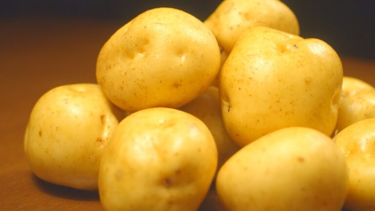 【 じゃがいも レシピ  】じゃがいも家にありますか？ ホクっとおいしい 使い方 3品