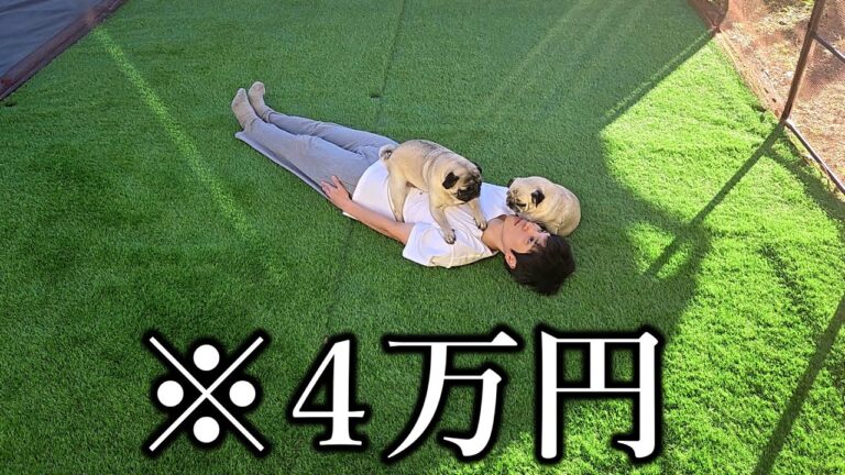 【ご報告】新居の庭にドッグランを作りました (※最後に重大発表があります)