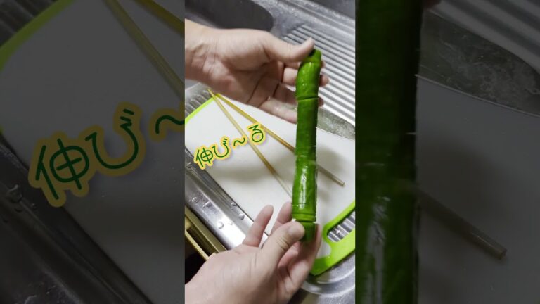 のび～る！！蛇腹きゅうりの一本漬け