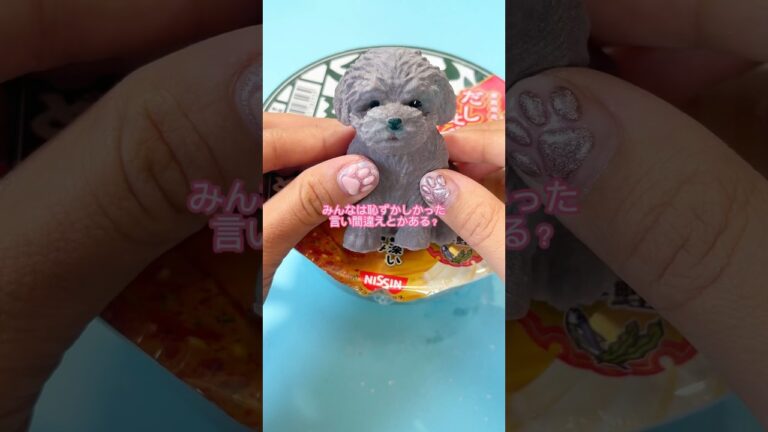 【カップヌードル言い間違え】わんちゃんスクイーズ作ってみたよ🐶#shorts #ハンドメイド #スクイーズ #制作動画 #人肌のゲル #カップヌードル #犬のいる暮らし