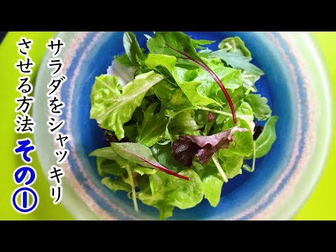 【サラダの作り方の基本①】プロが教える、サラダをシャキッとさせる方法 〜前編〜