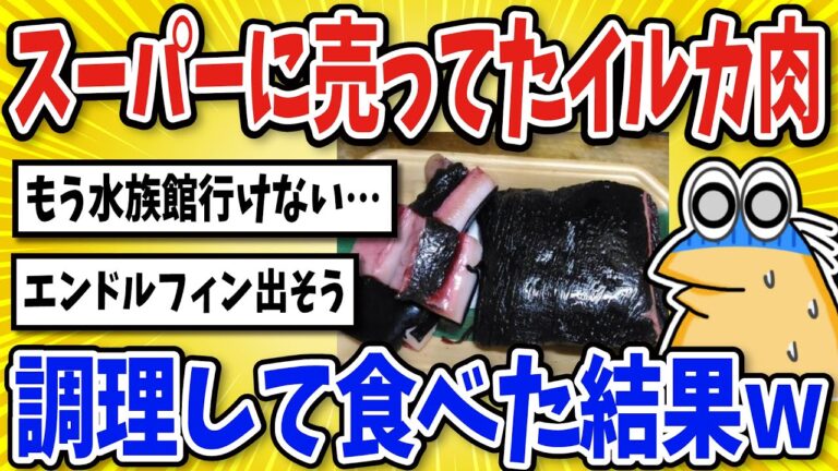 【2ch面白いスレ】スーパーに売っていたイルカを調理して食った結果ｗｗｗ【グルメ料理】