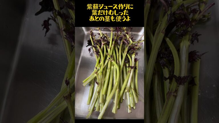 全部使う！【赤紫蘇の茎で煮物】シソジュース作りに使った残りの茎レシピ。시소 そんなにクセない！#shorts #料理 #アレンジ