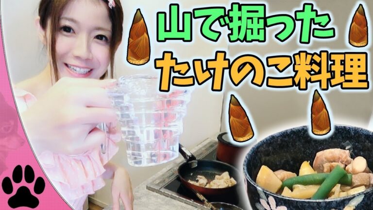 ◆料理◆たけのこ＆鶏肉の煮物！渚ちゃんの山で掘ったものを新鮮なうちに！レシピ クッキング【よきゅCH】