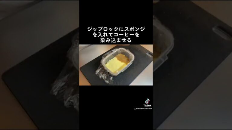 【プロが本気で作る】ティラミス
