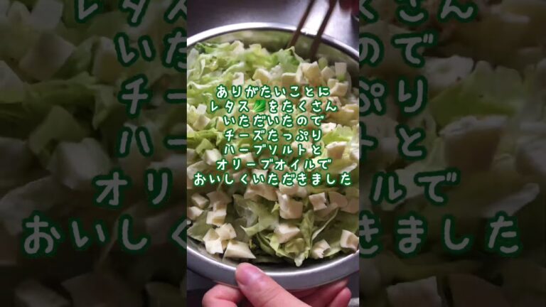 食物繊維サイコー🥬#レタス#サラダ#野菜大好き