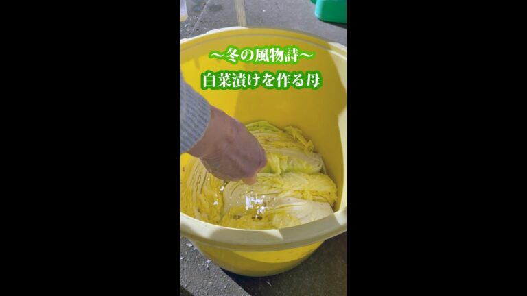 【農家めし】冬の白菜漬け作り #shorts