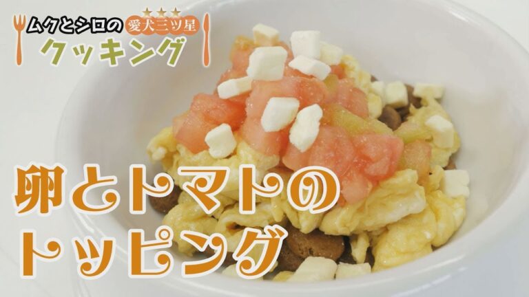 【愛犬三ツ星クッキング】卵とトマトのトッピング