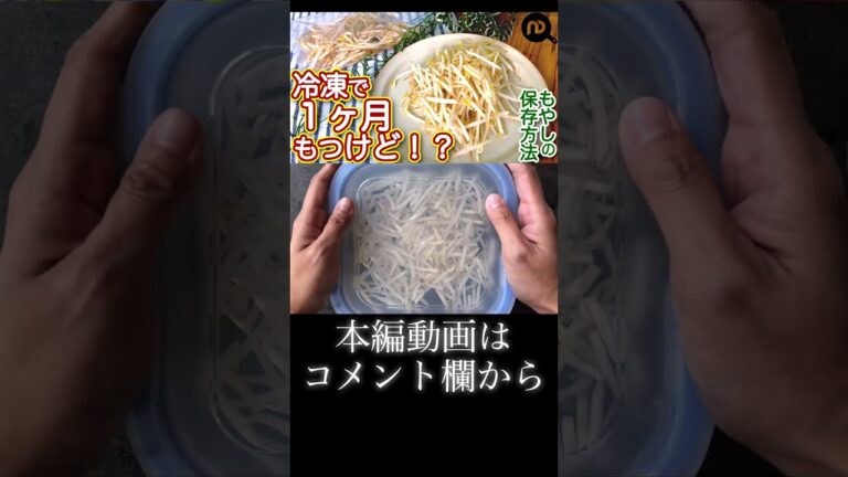 もやしの保存方法　N.D.Kitchen