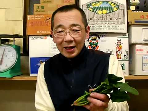 内田悟のやさい塾．tv：冬野菜（ほうれんそう）