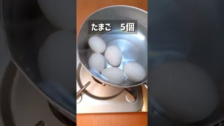 箸が止まらない美味さ！塩ネギ味玉