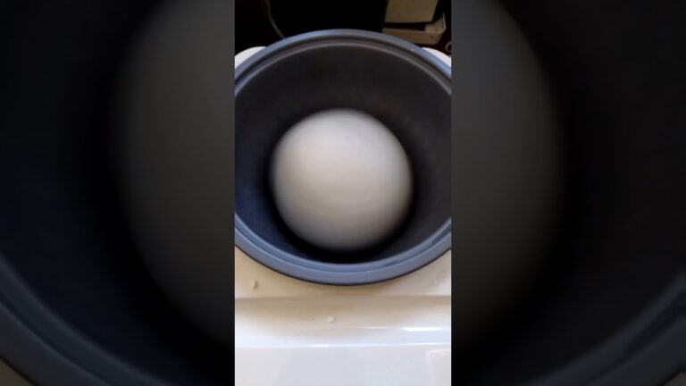 炊飯器でお餅をつくってみた！？