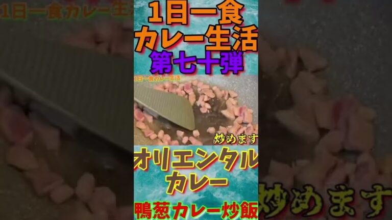 1日一食カレー生活第七十弾はオリエンタルカレー使って鴨葱カレー炒飯作ってみました🤩👍